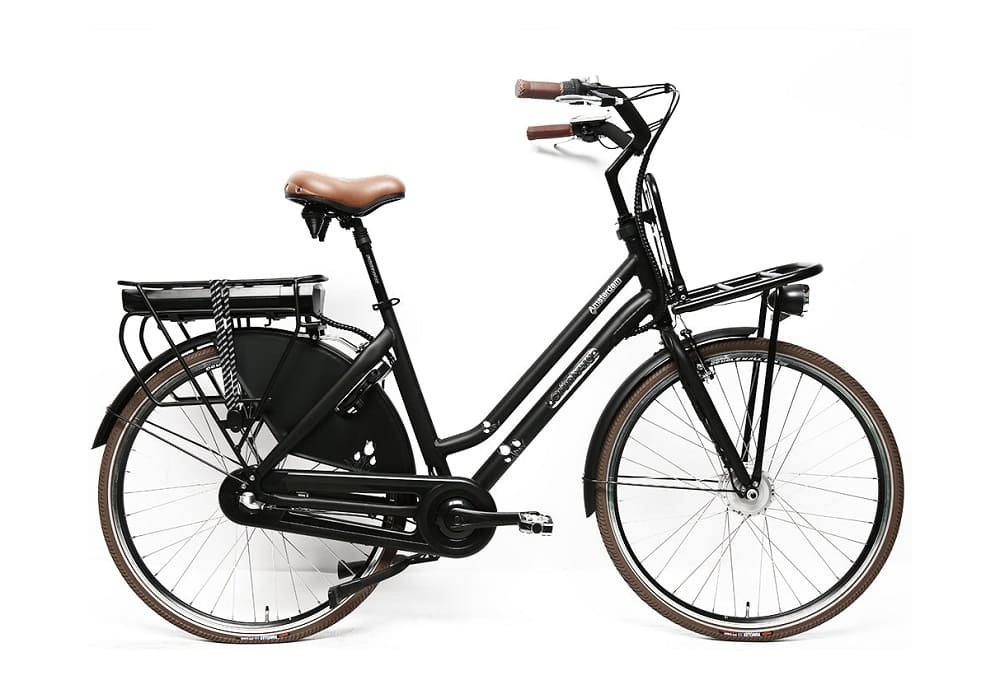 Velo-electrique-femme-Grunberg-Amsterdam-250W-36V-13Ah-468Wh-roue-27.5-1